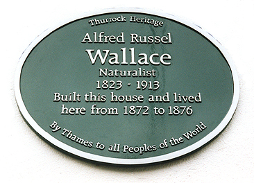 photo of plaque mounted on the wall of Alfred Russel Wallace's house named The Dell in Grays, Essex, U.K.