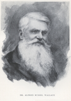photoportrait of Alfred Russel Wallace in 1897 or before