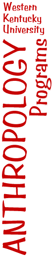 typeitin 2.6.1 program programs typeitin 2.6.1 program programs