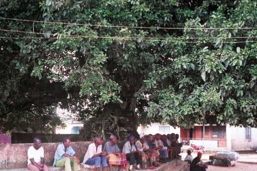 Men sitting at the village plaza under the shade of a big tree
