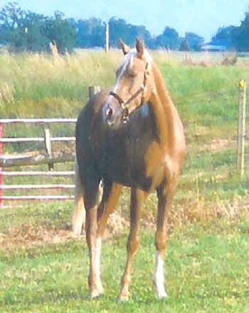 image file