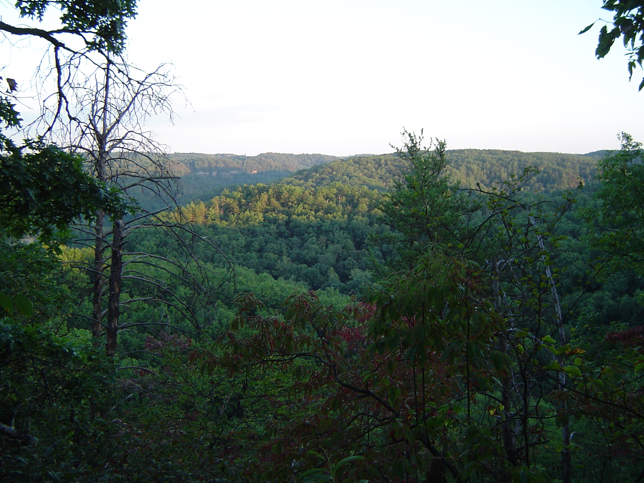 photograph of red river gorge vista