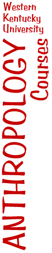 anthro logo small