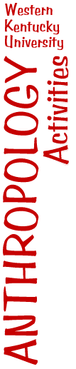 anthro logo activities