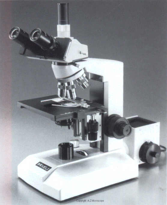 microscope