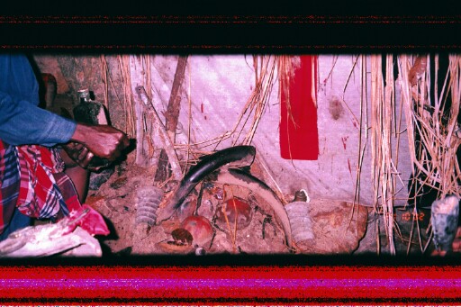 Libation Ritual and Shrine Objects