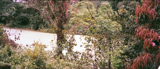 Ishimokoto--the Green River