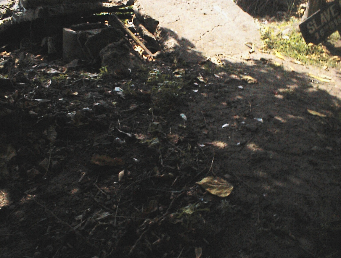 A bridge on the slave routes, currently in disrepair