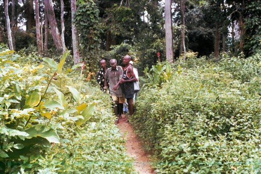 The custodian of the Eke Igbere oral traditions with others