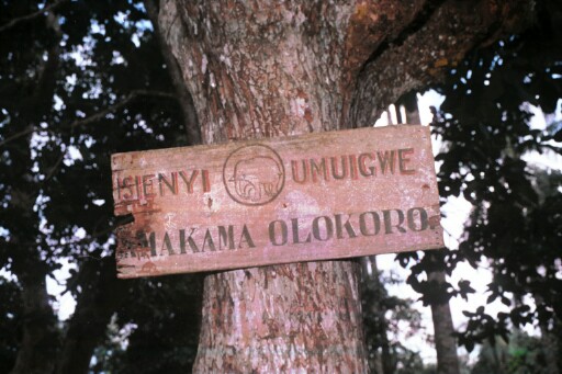 Entrance to the compound where the tower tree stands