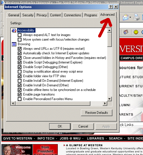 Advanced on Internet Options