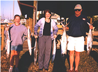 Untitled Document [people.wku.edu]