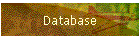 Database