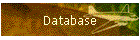 Database