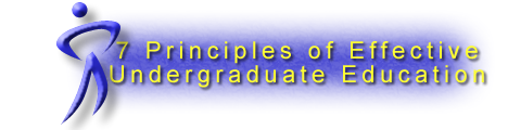 Banner: 7 Principles of Effective Undergraduate Education