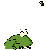 frog catching fly