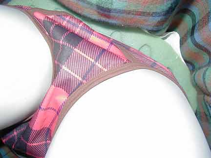 What a Scotsmannequin wears under his kilt: plaid undies
